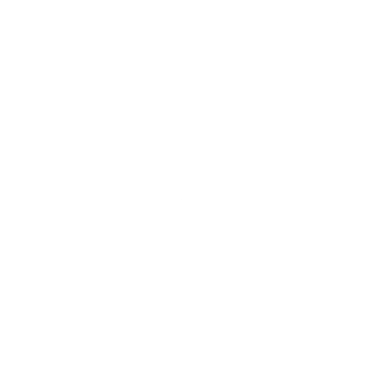 PARTY PNG